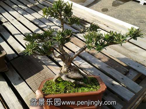 2014-02-14 14.18.48.jpg