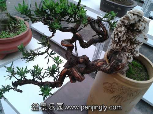 2013-05-20 18.25.17.jpg