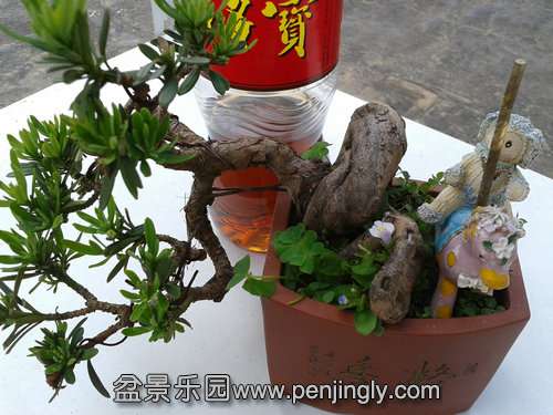 2013-05-22 14.42.47.jpg