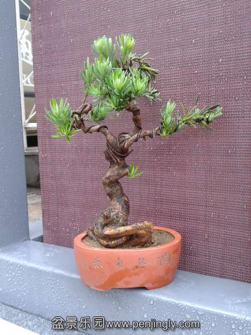 2013-06-08 12.38.54.jpg