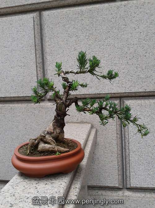 2013-06-06 13.01.34.jpg