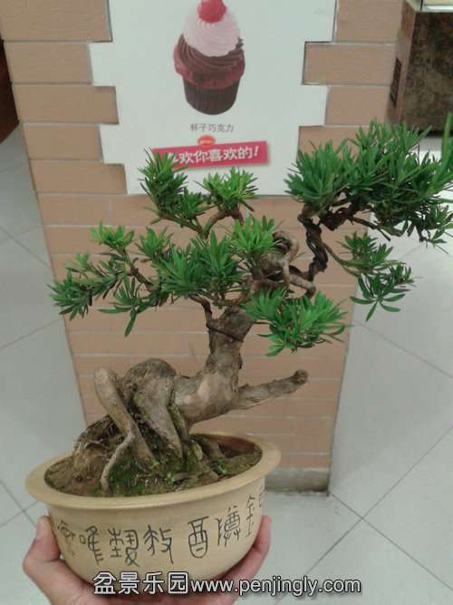 2013-11-15 21.52.52.jpg