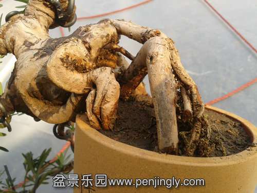 2013-12-08 13.28.56.jpg