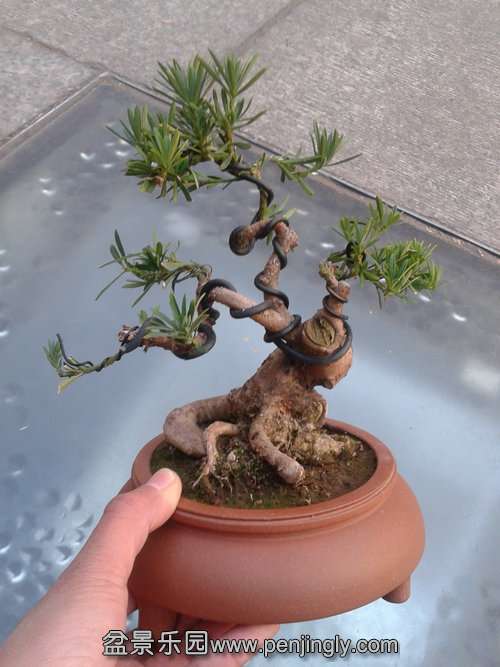 2013-12-31 16.23.11.jpg