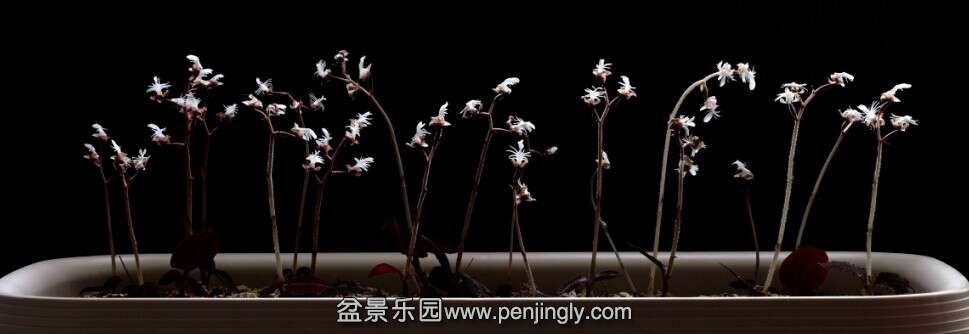 QQͼƬ20141107233402.jpg