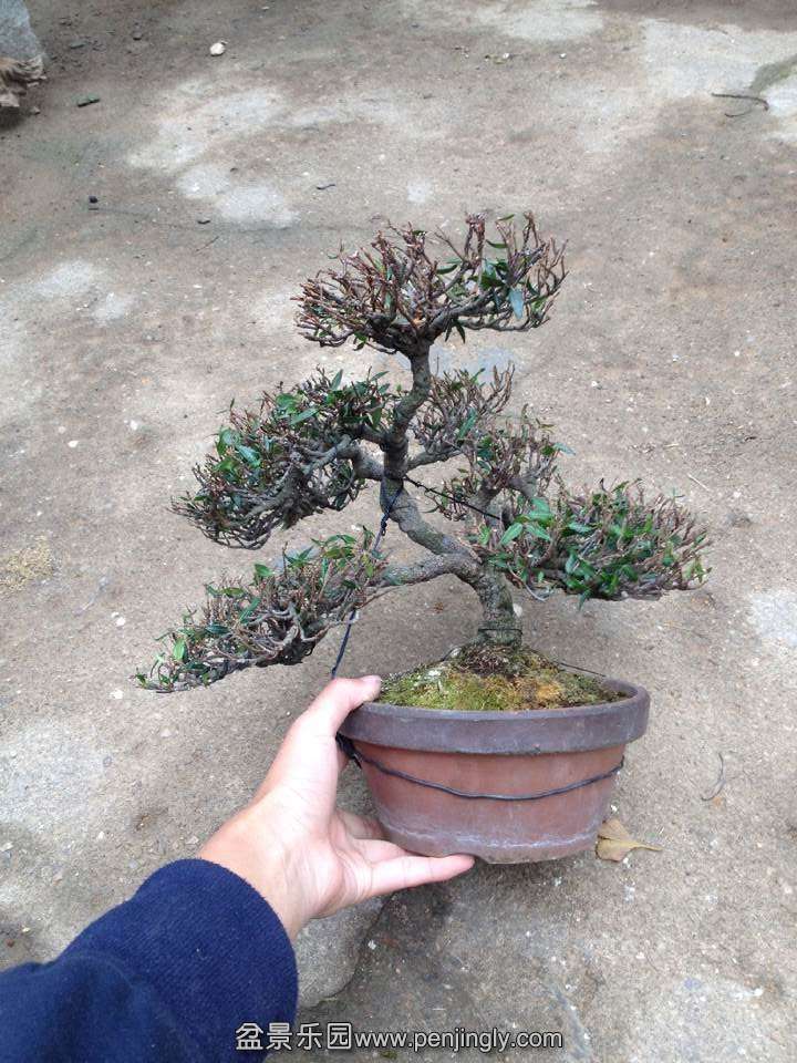 QQͼƬ20141108133155.jpg