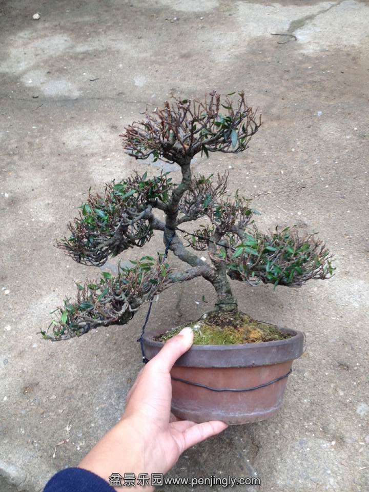 QQͼƬ20141108133216.jpg