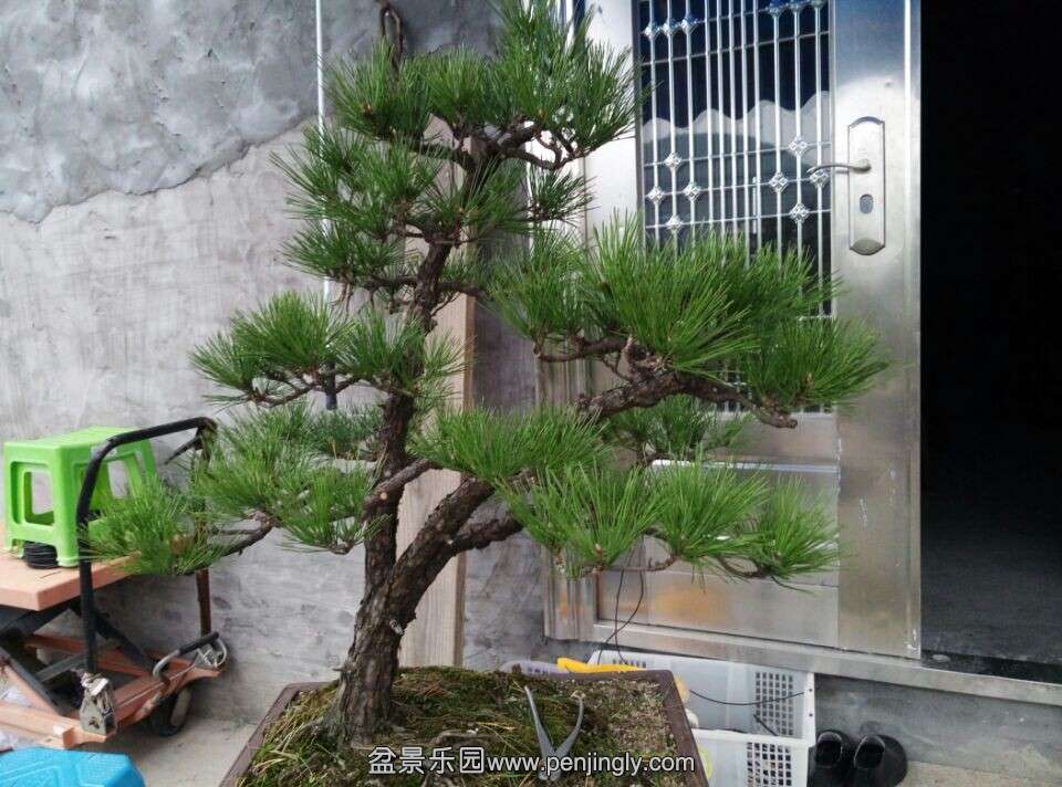 QQͼƬ20141110200032 - .jpg