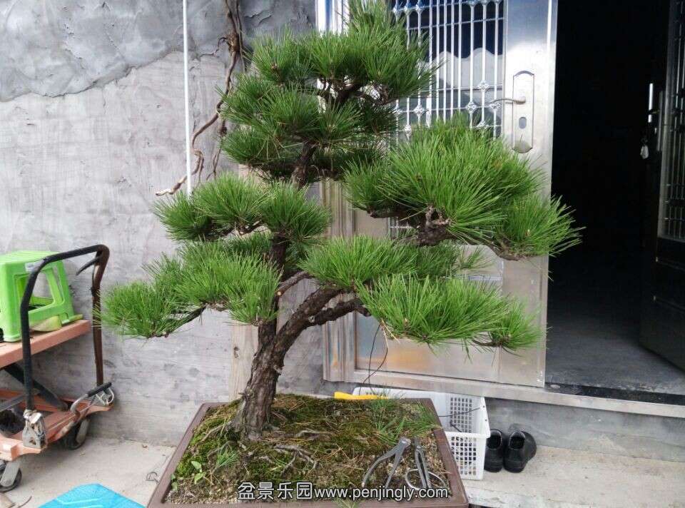 QQͼƬ20141110200045.jpg