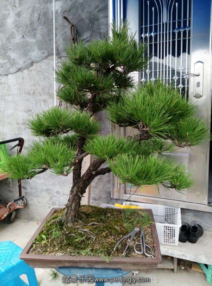 QQͼƬ20141110200041.jpg