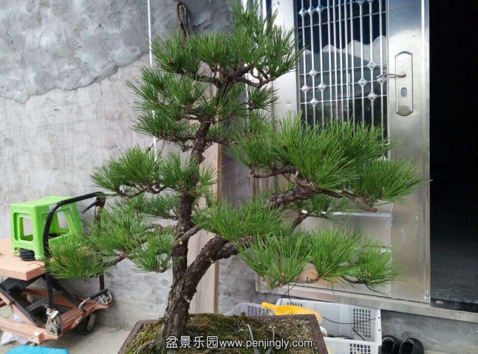 QQͼƬ20141110200037.jpg