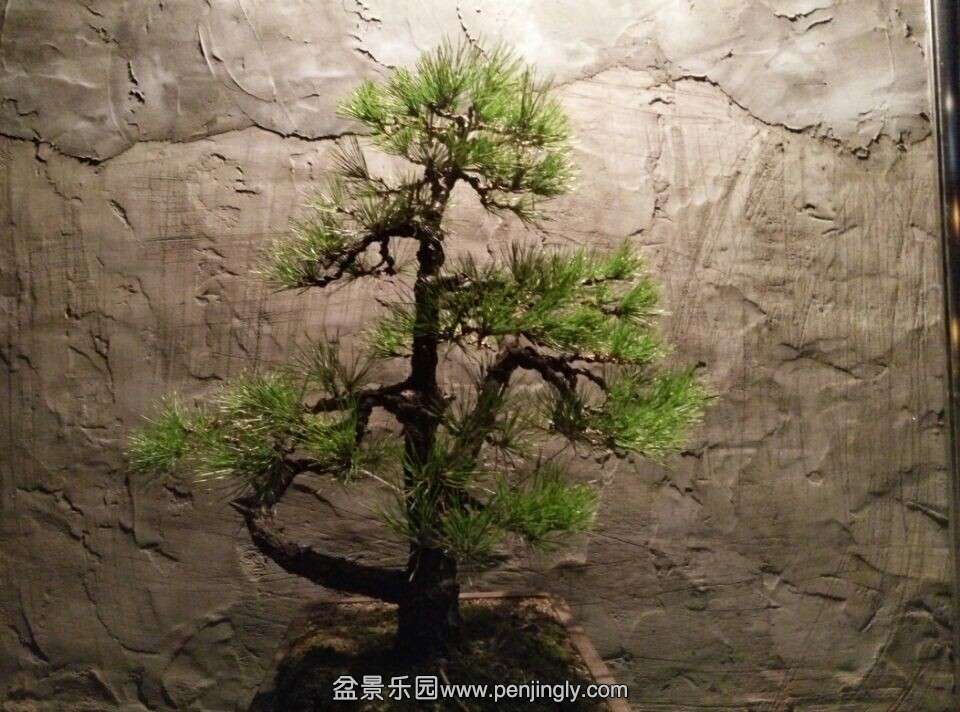 QQͼƬ20141110200023.jpg