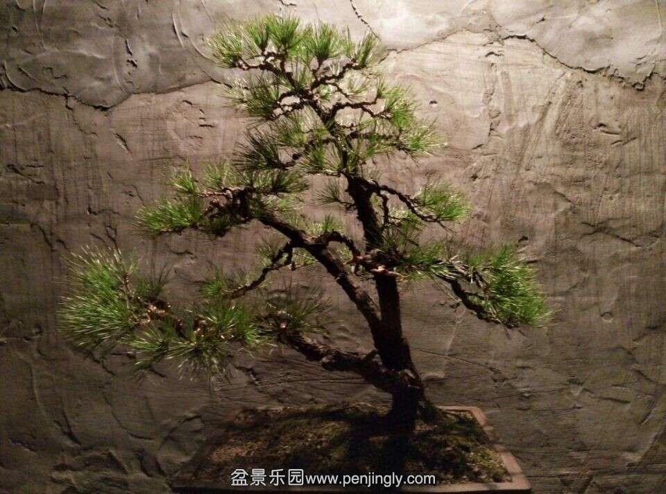 QQͼƬ20141110200010.jpg