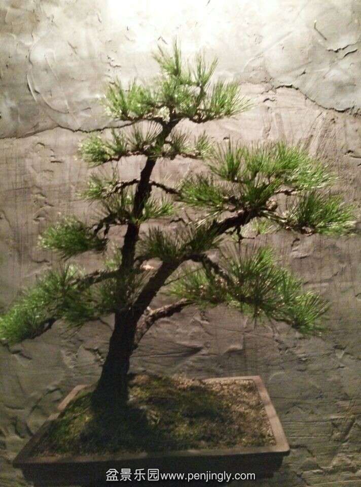QQͼƬ20141110200028.jpg