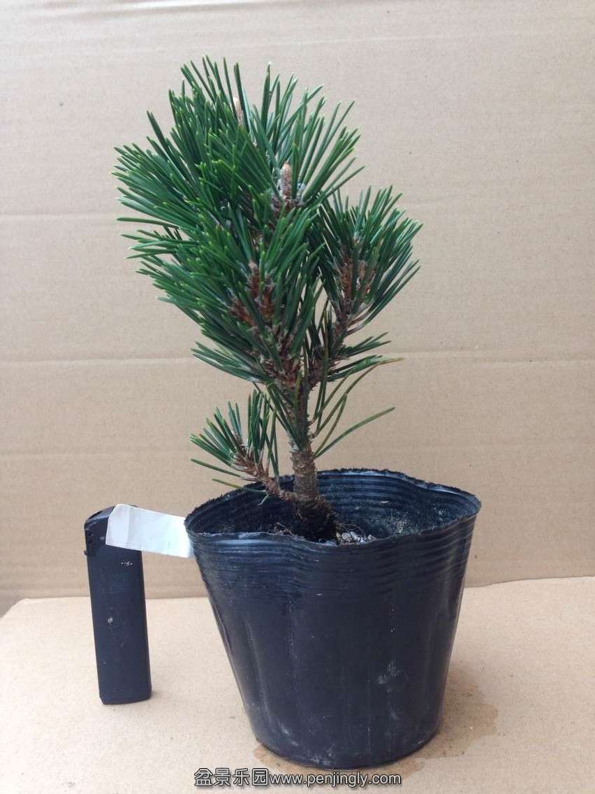 QQͼƬ20141109181053.jpg