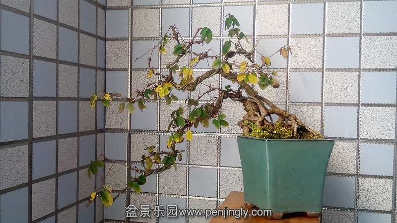 IMG_20141112_140752.jpg