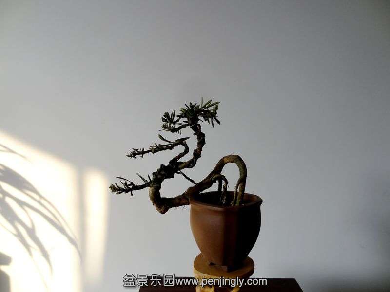 DSC02104.JPG