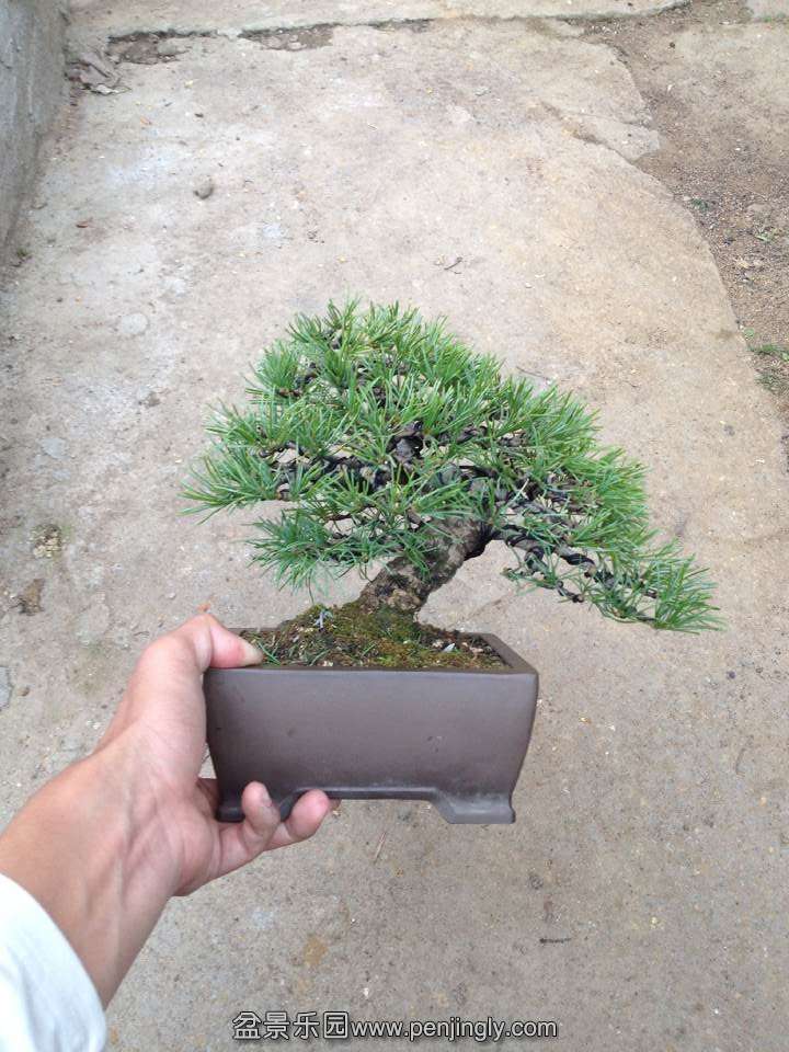 QQͼƬ20141112141528.jpg