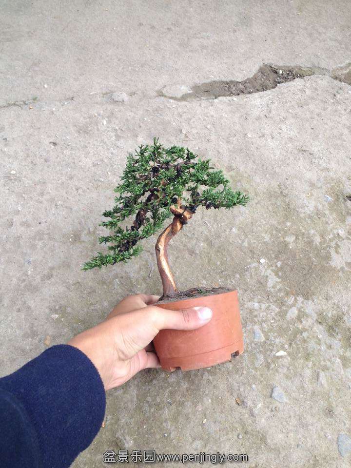 QQͼƬ20141111130903.jpg