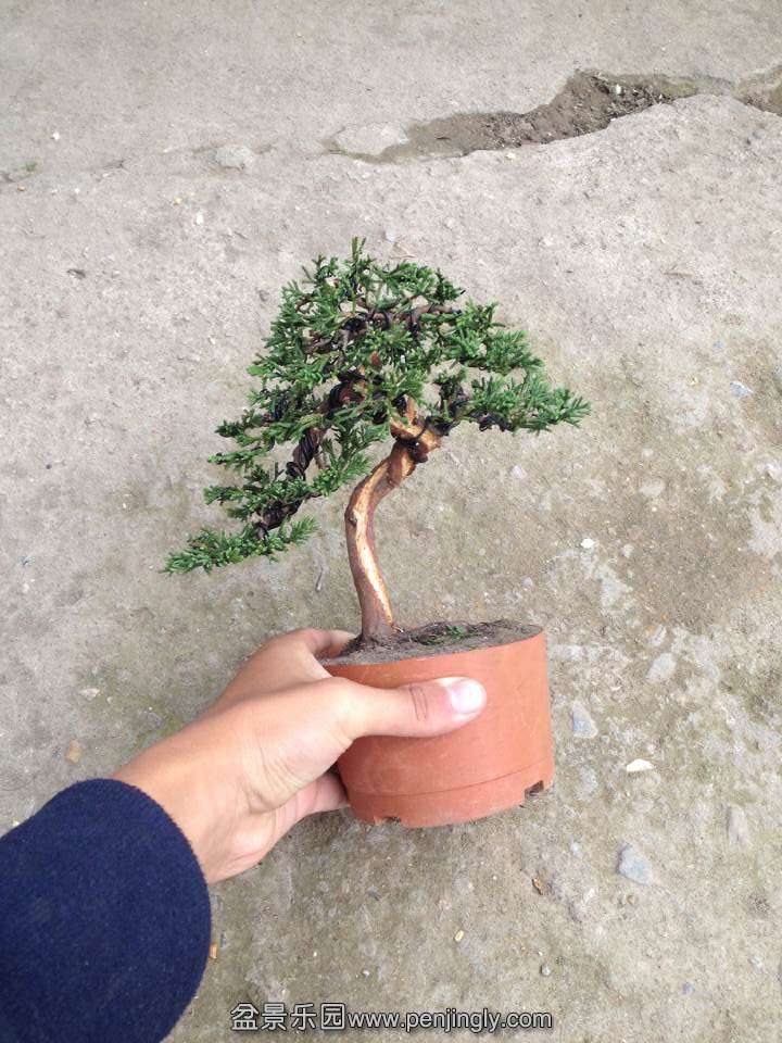 QQͼƬ20141111130911.jpg