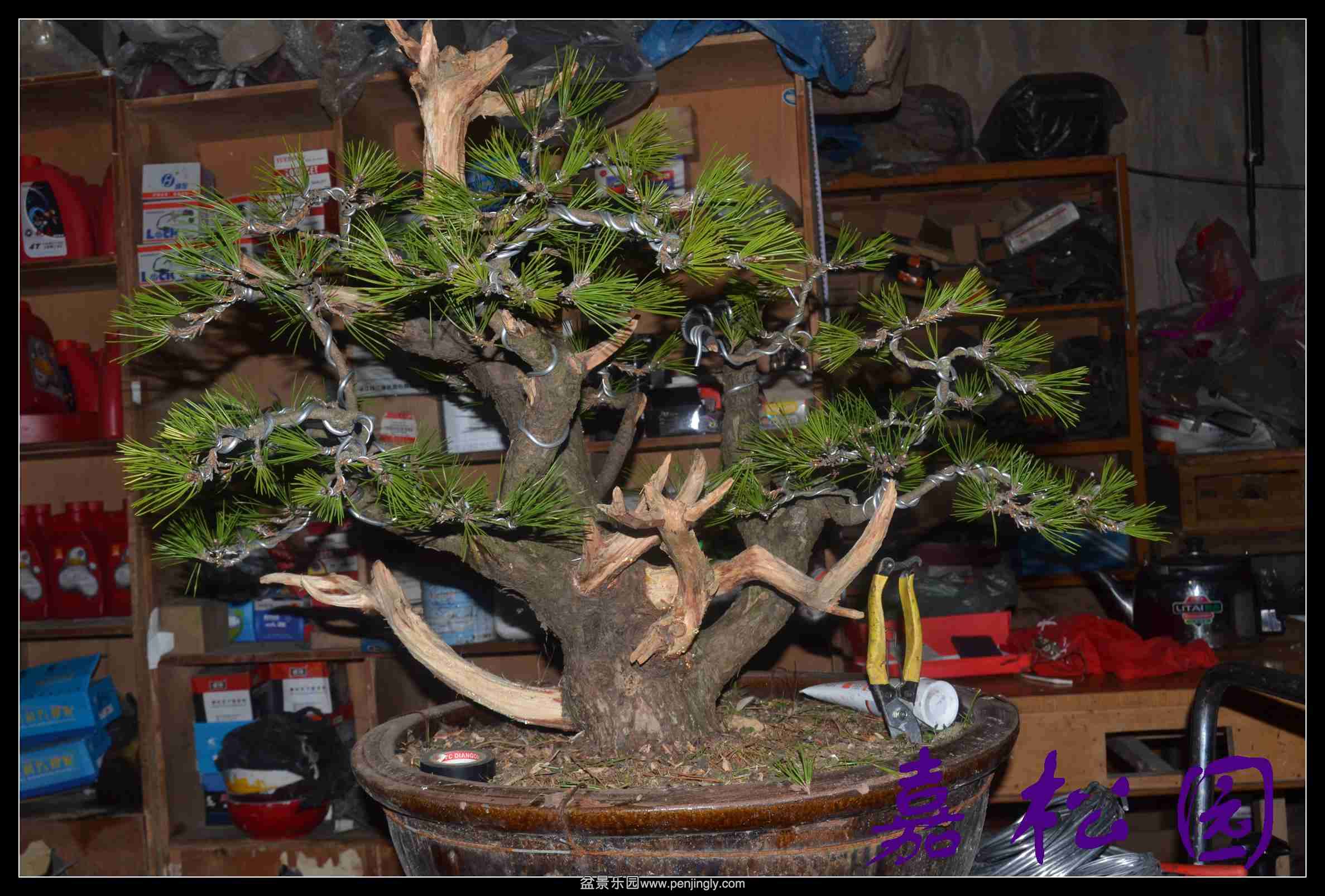 ���ú��� 009.JPG