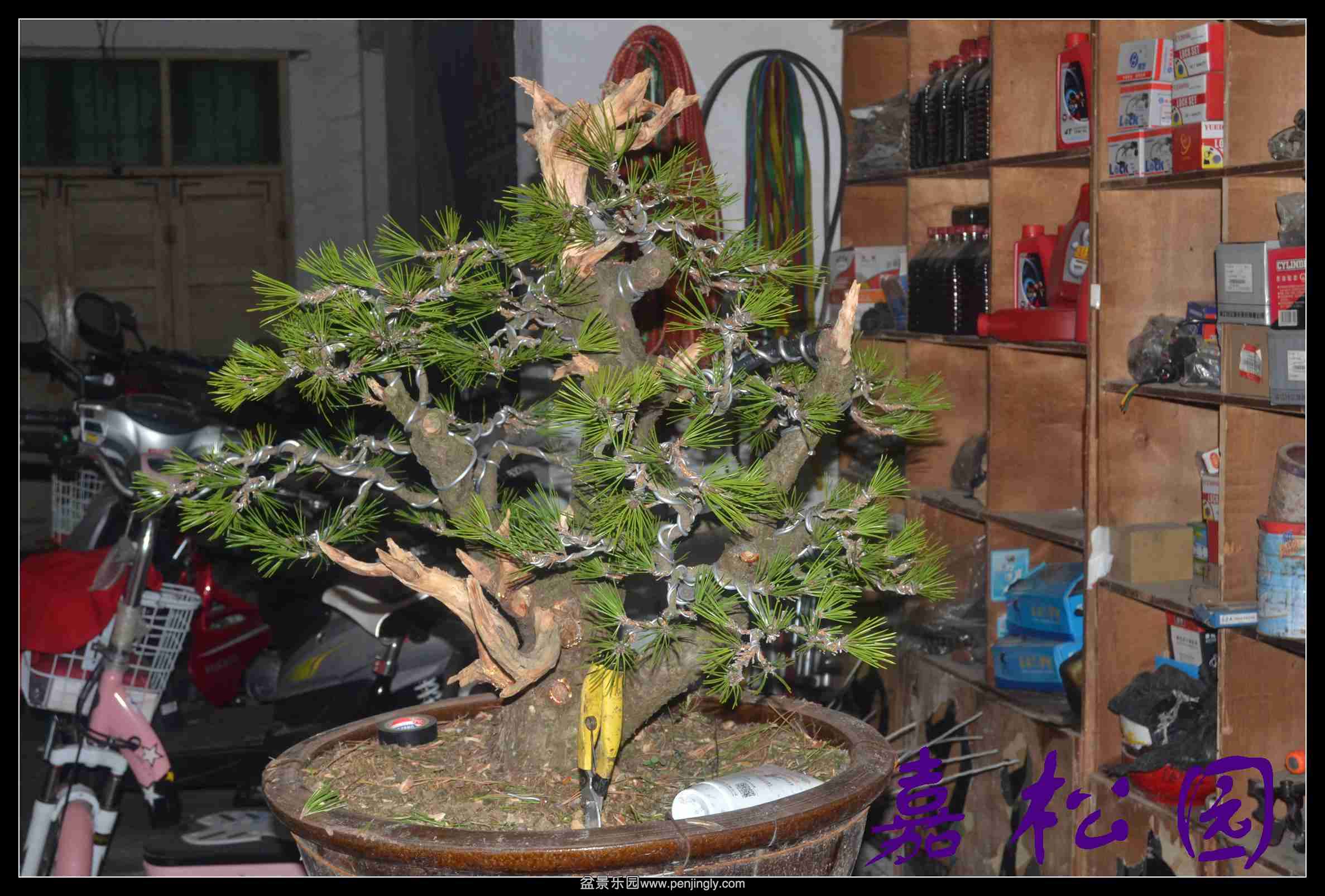 ���ú��� 010.JPG