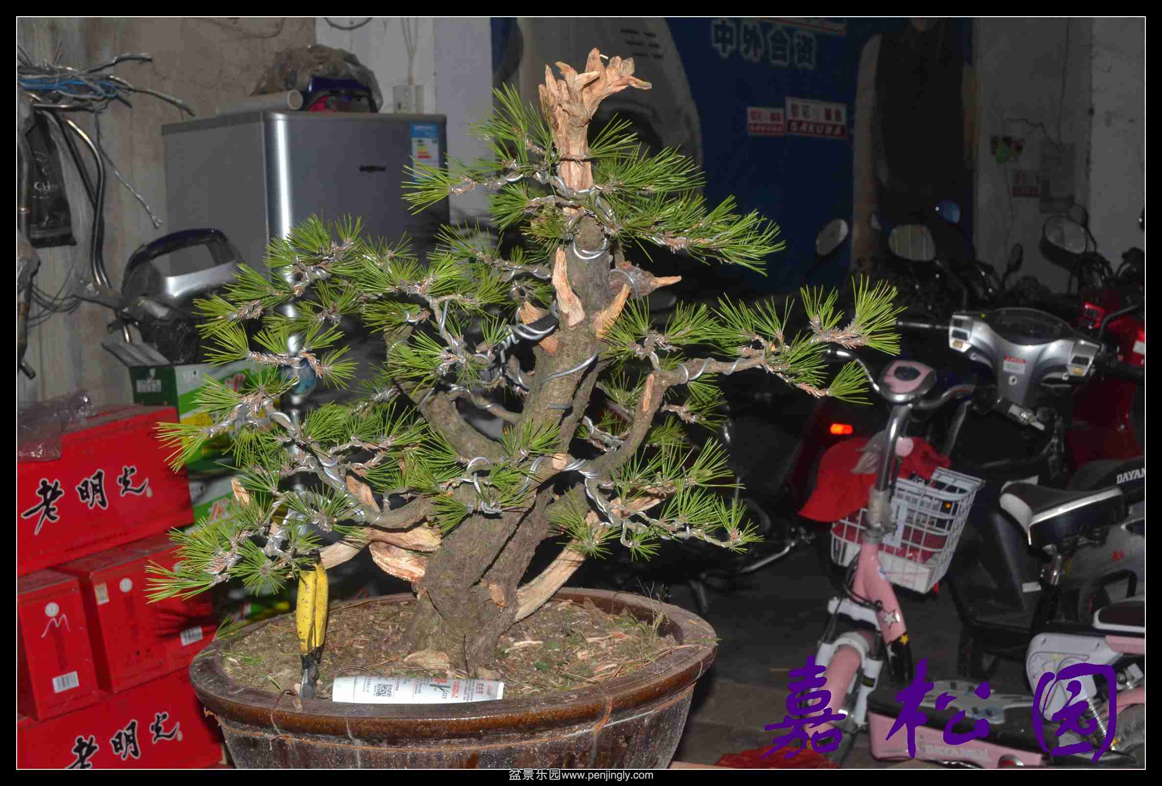 ���ú��� 011.JPG