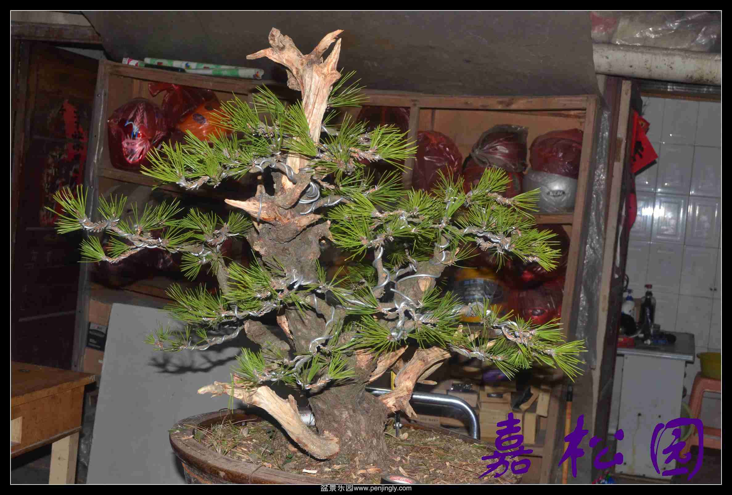 ���ú��� 015.JPG