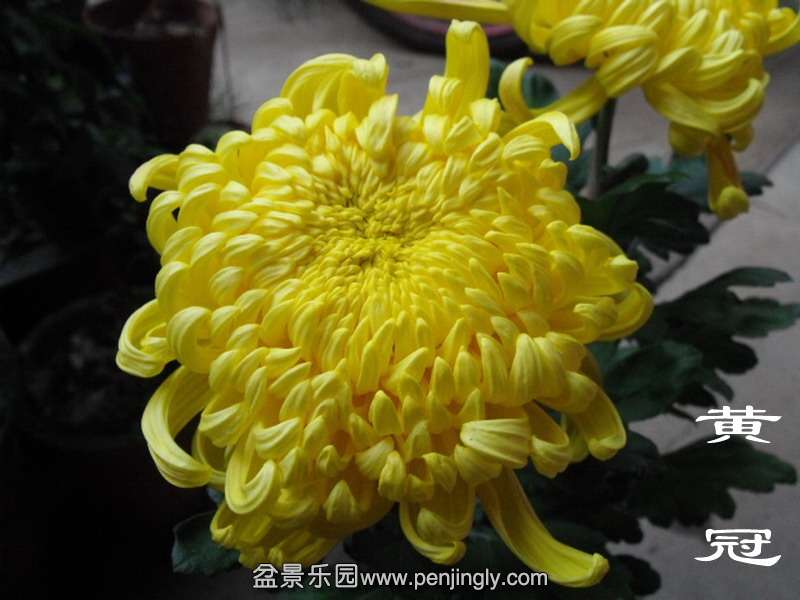 DSCF0467_С.jpg