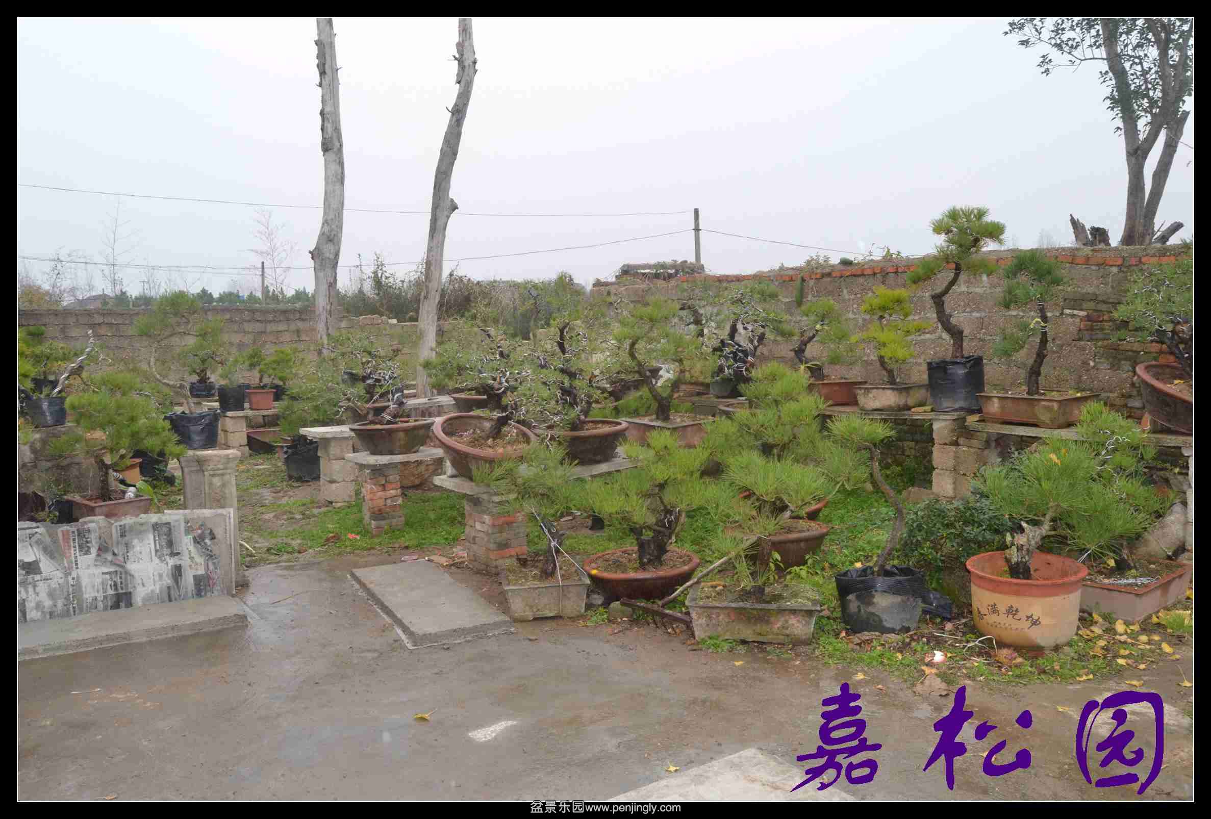 ���� 001.JPG