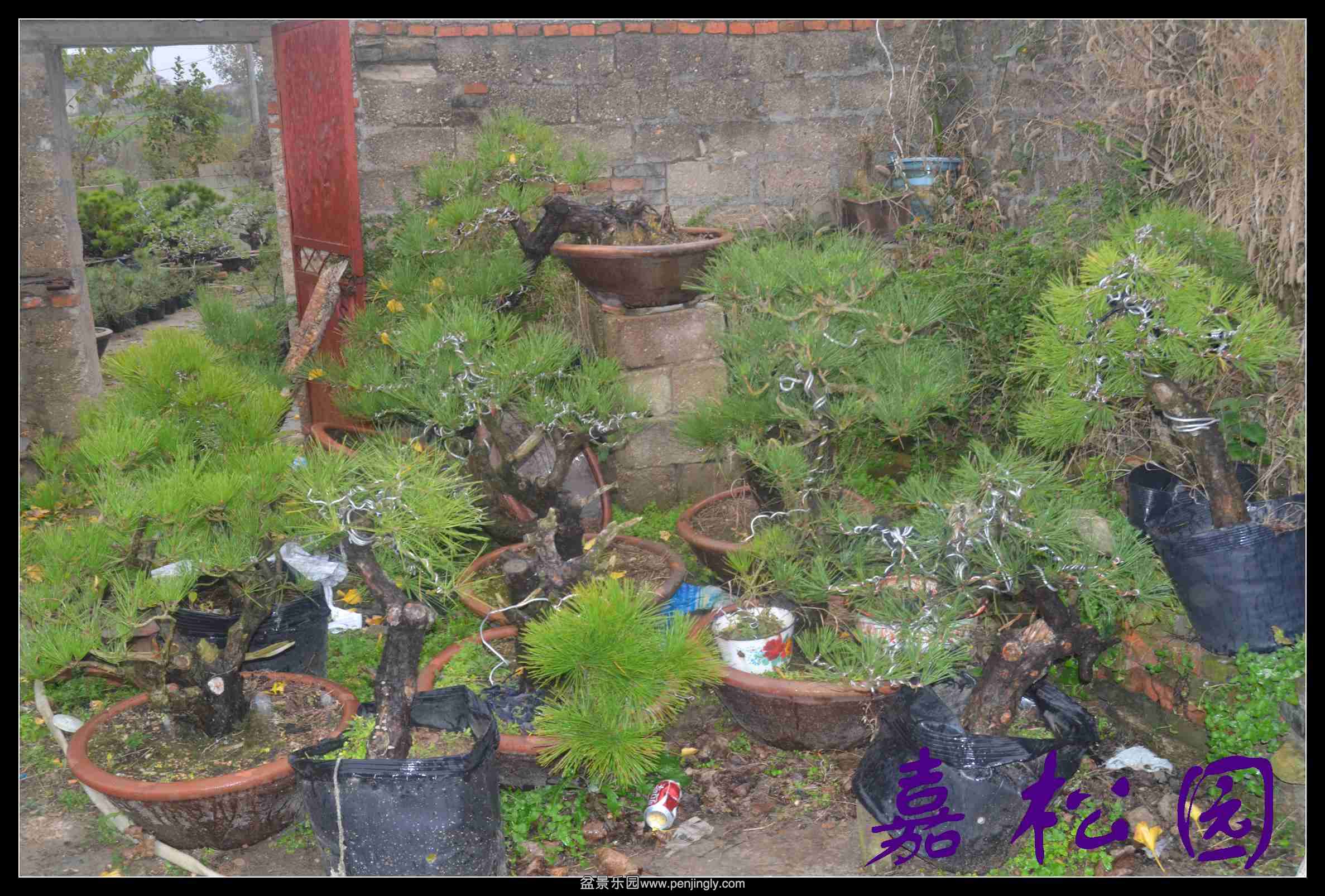 ���� 003.JPG