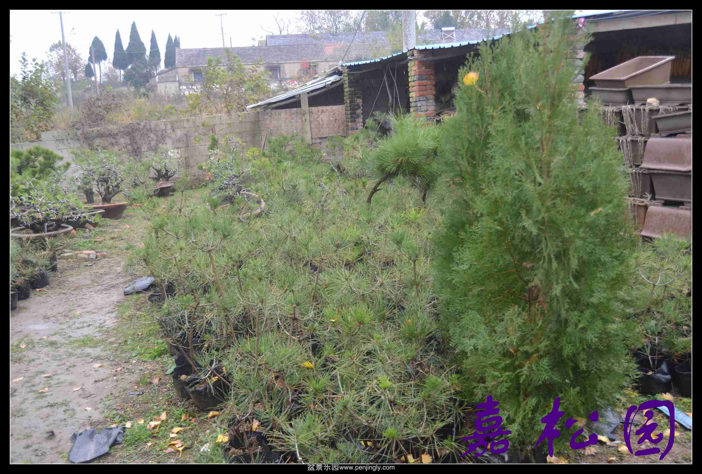 ���� 004.JPG