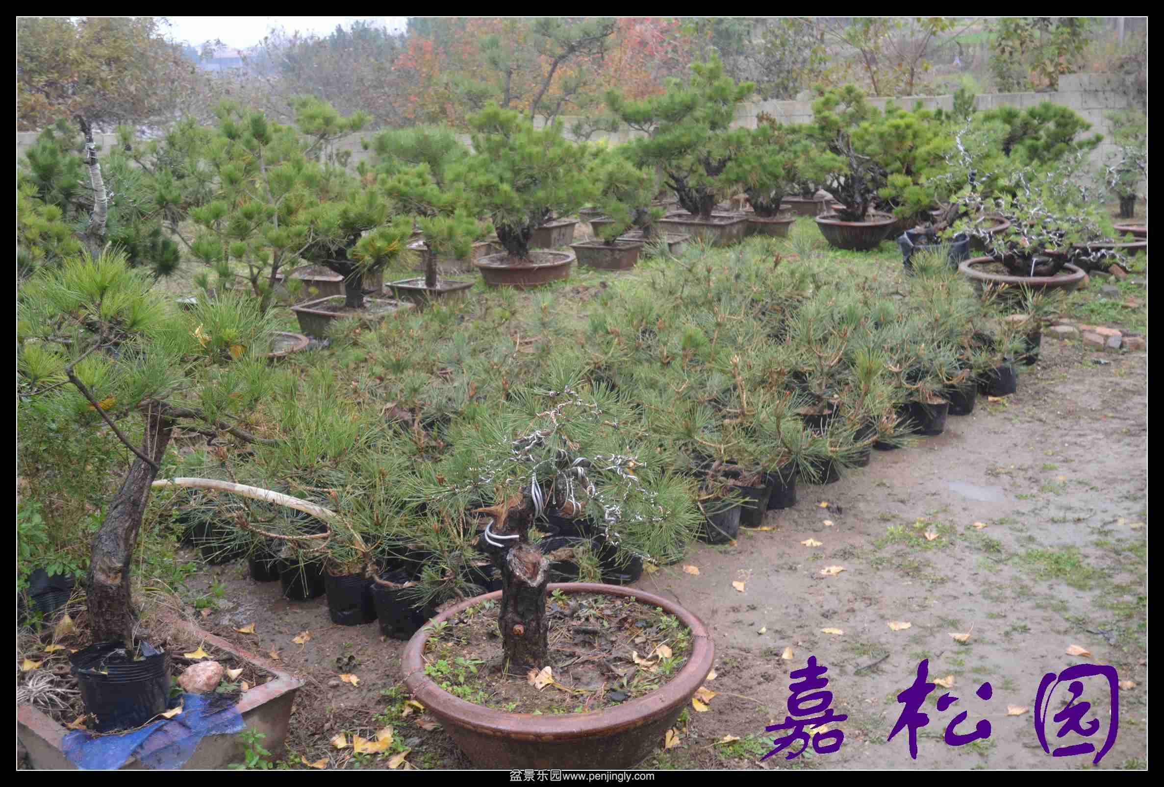 ���� 005.JPG