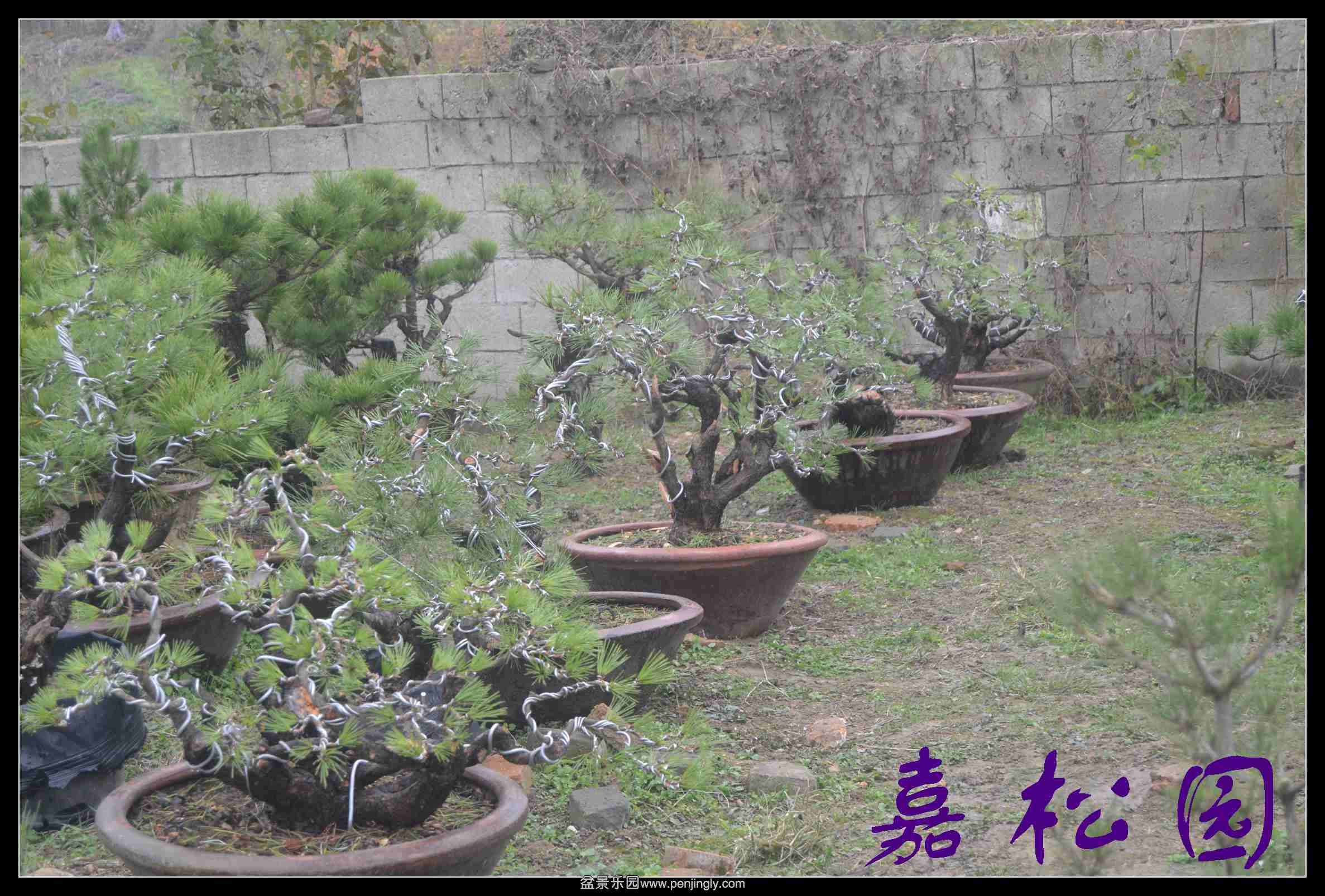 ���� 022.JPG