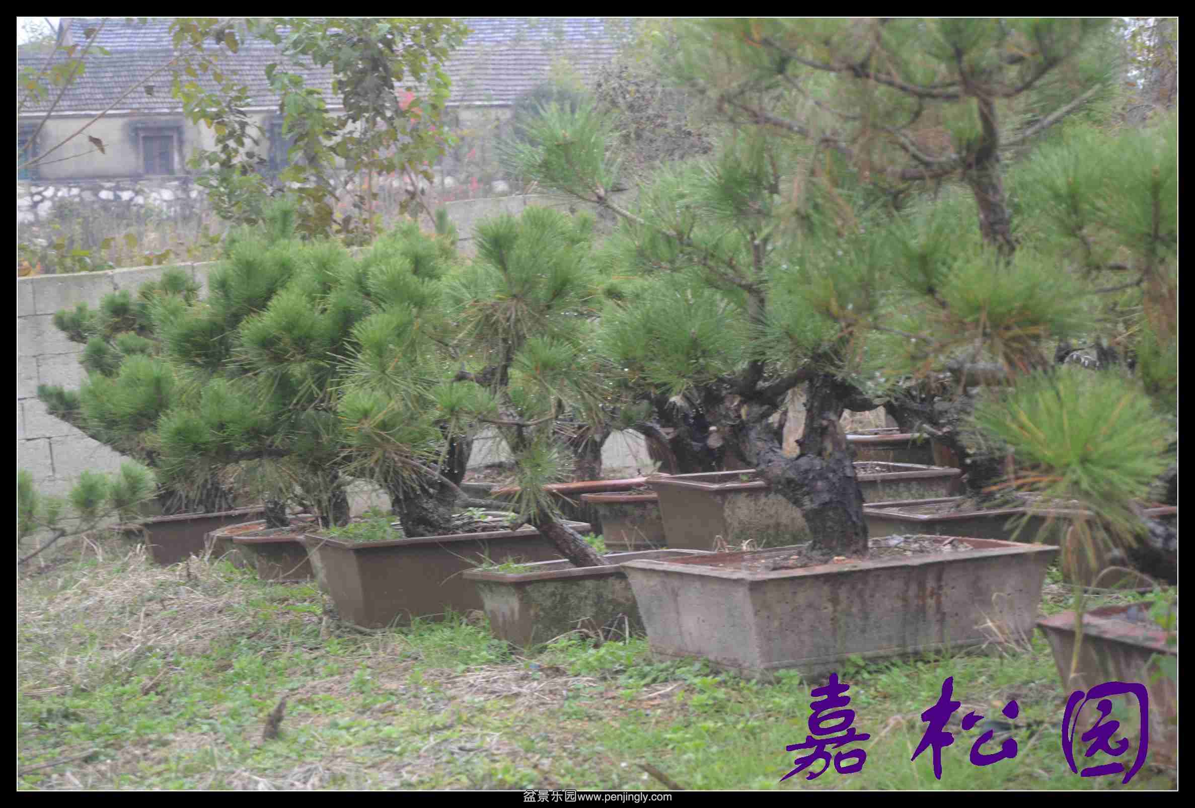 ���� 023.JPG