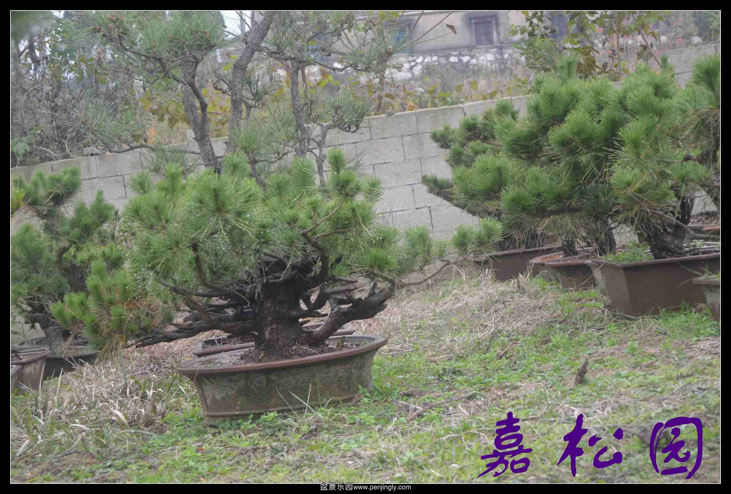 ���� 024.JPG