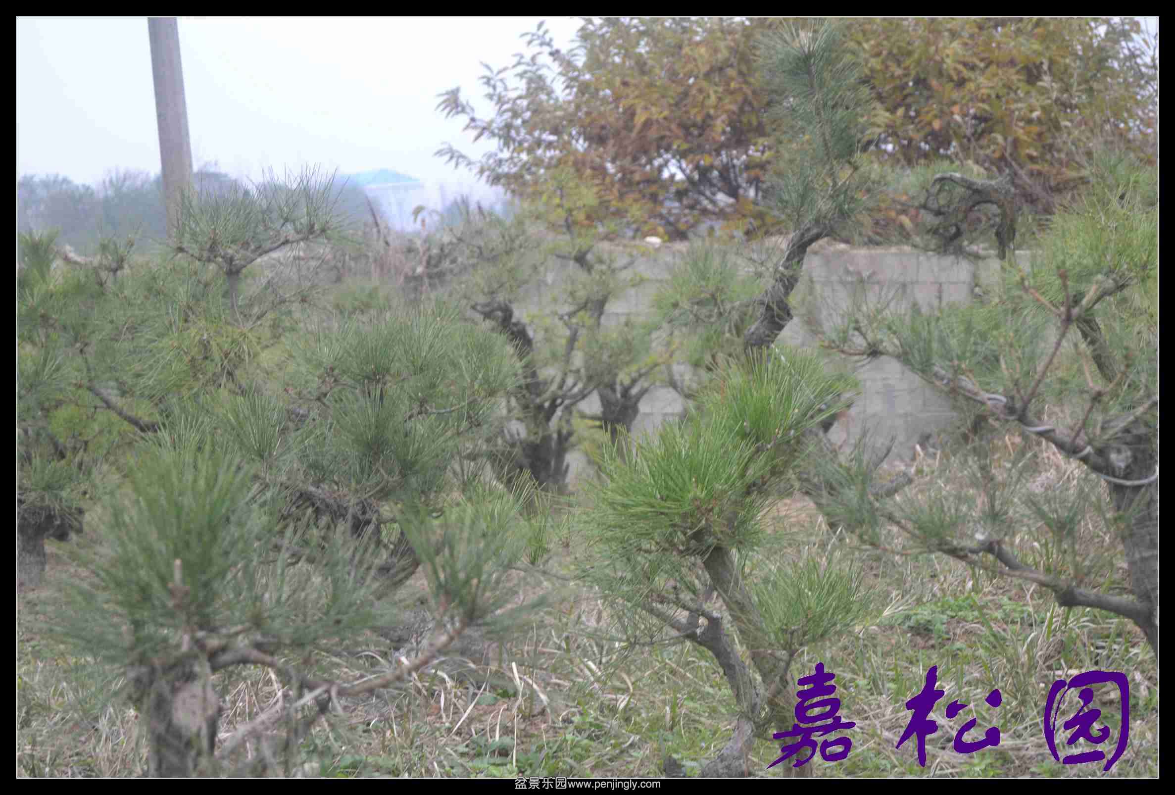 ���� 025.JPG