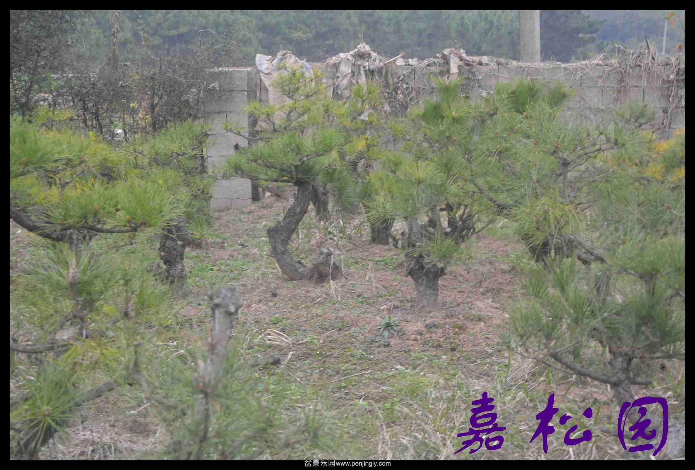 ���� 026.JPG