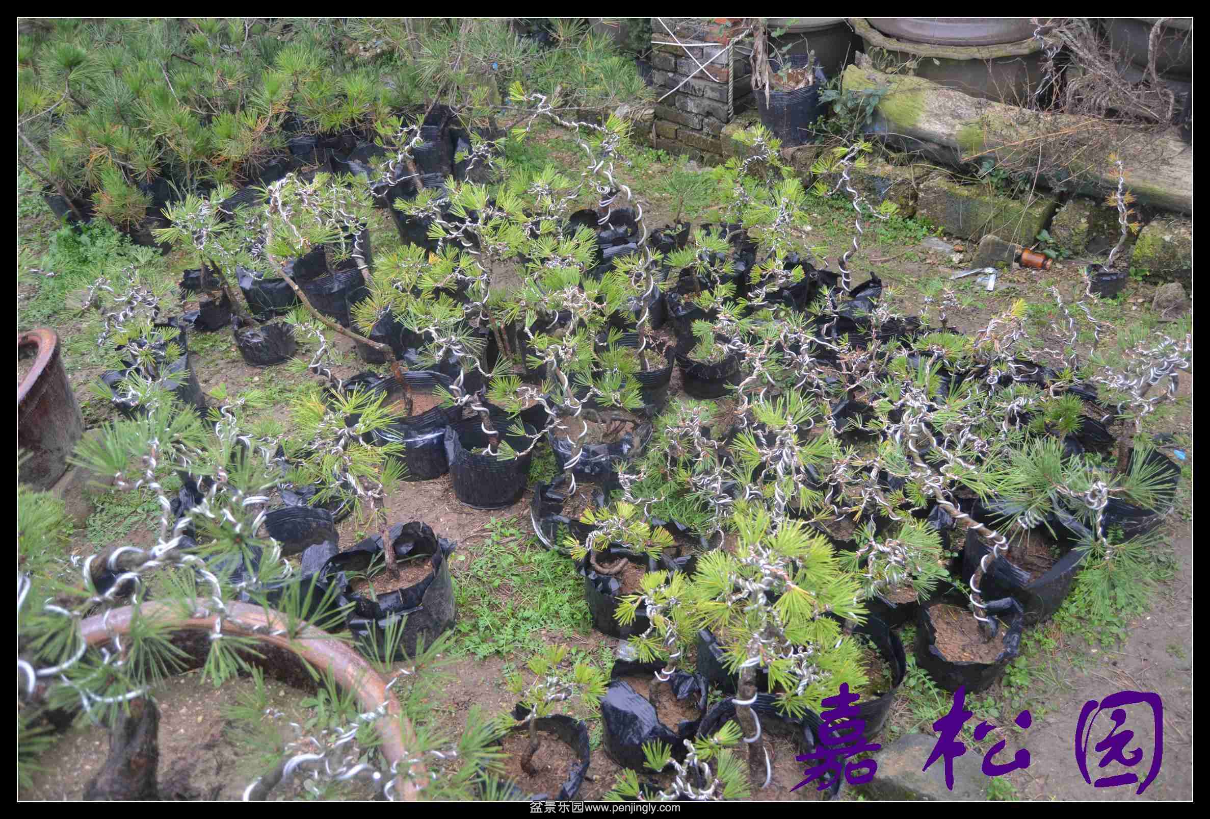 ���� 027.JPG