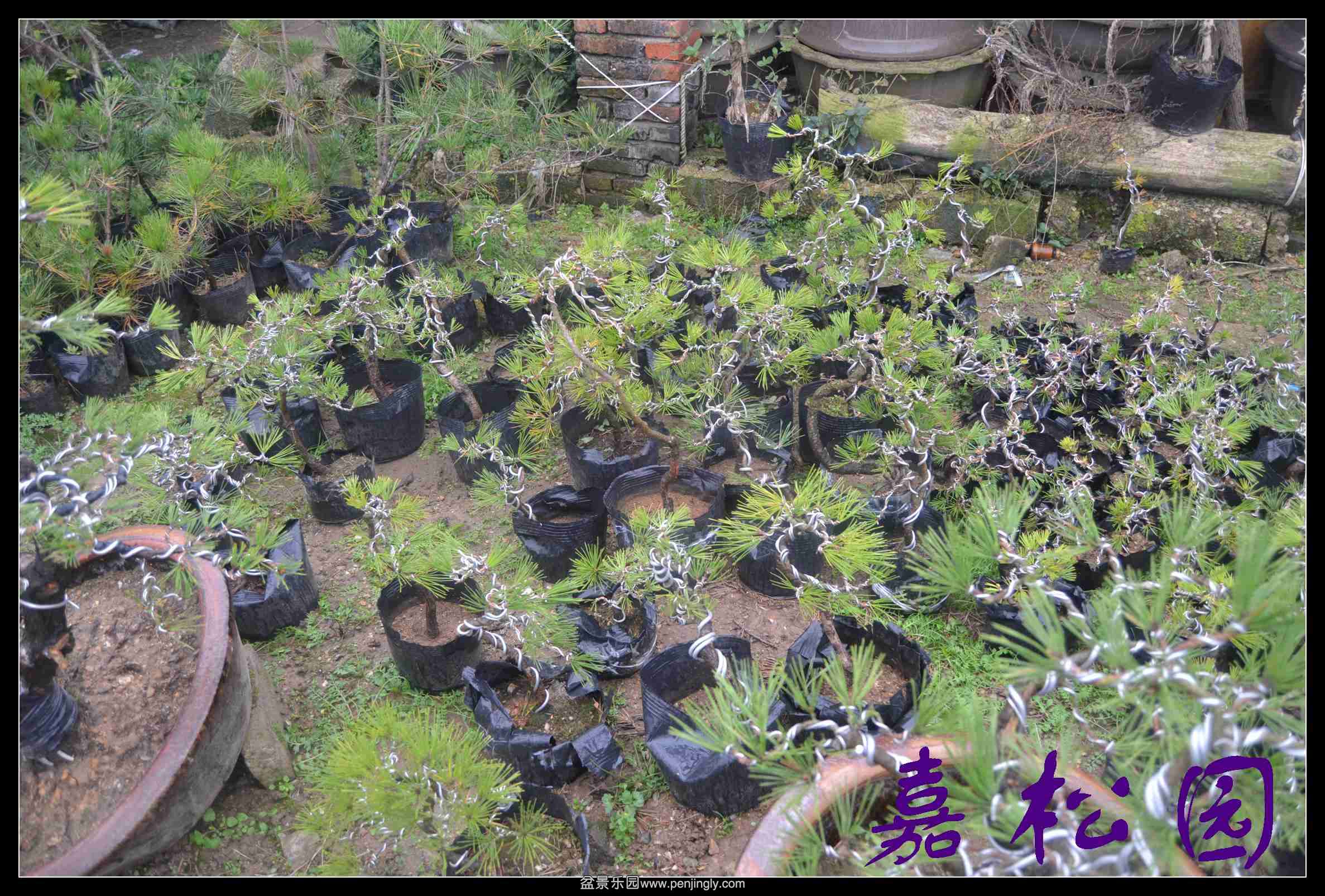 ���� 028.JPG