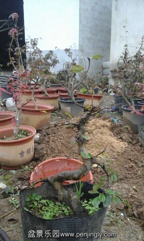 20141030_140656.jpg