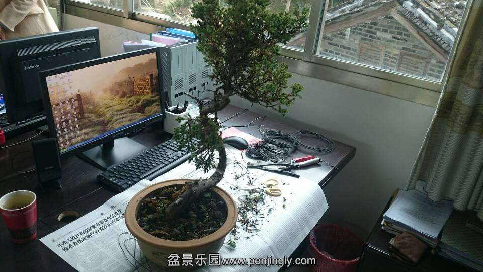 2.jpg