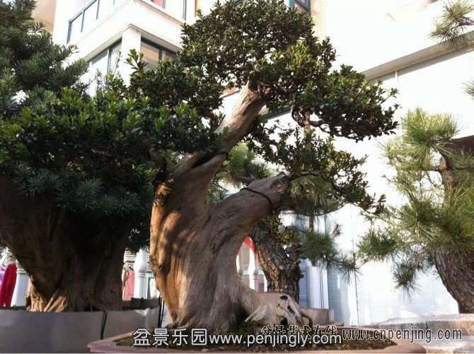 ��76ֱ��29����