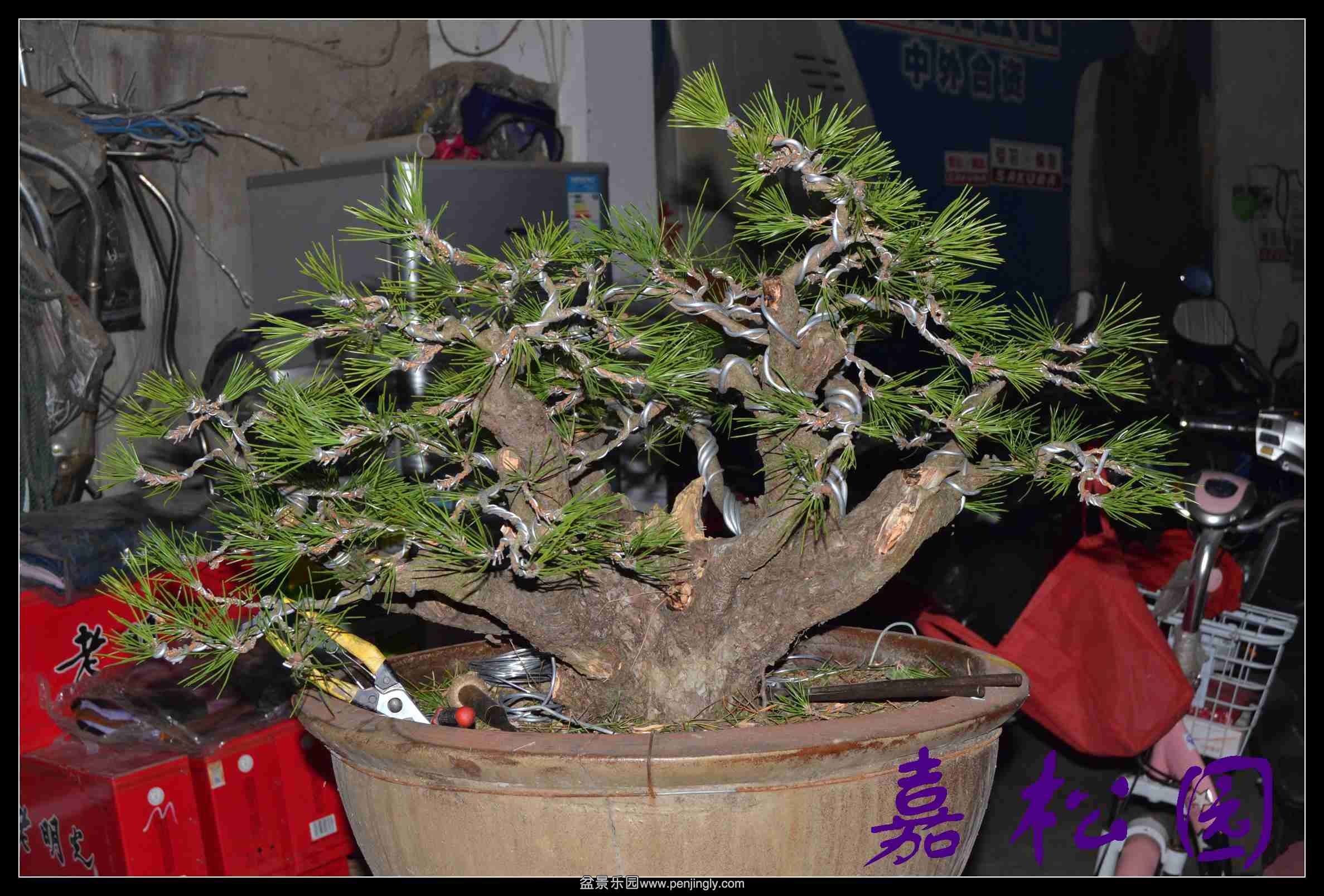 ���Զ�� 002.JPG