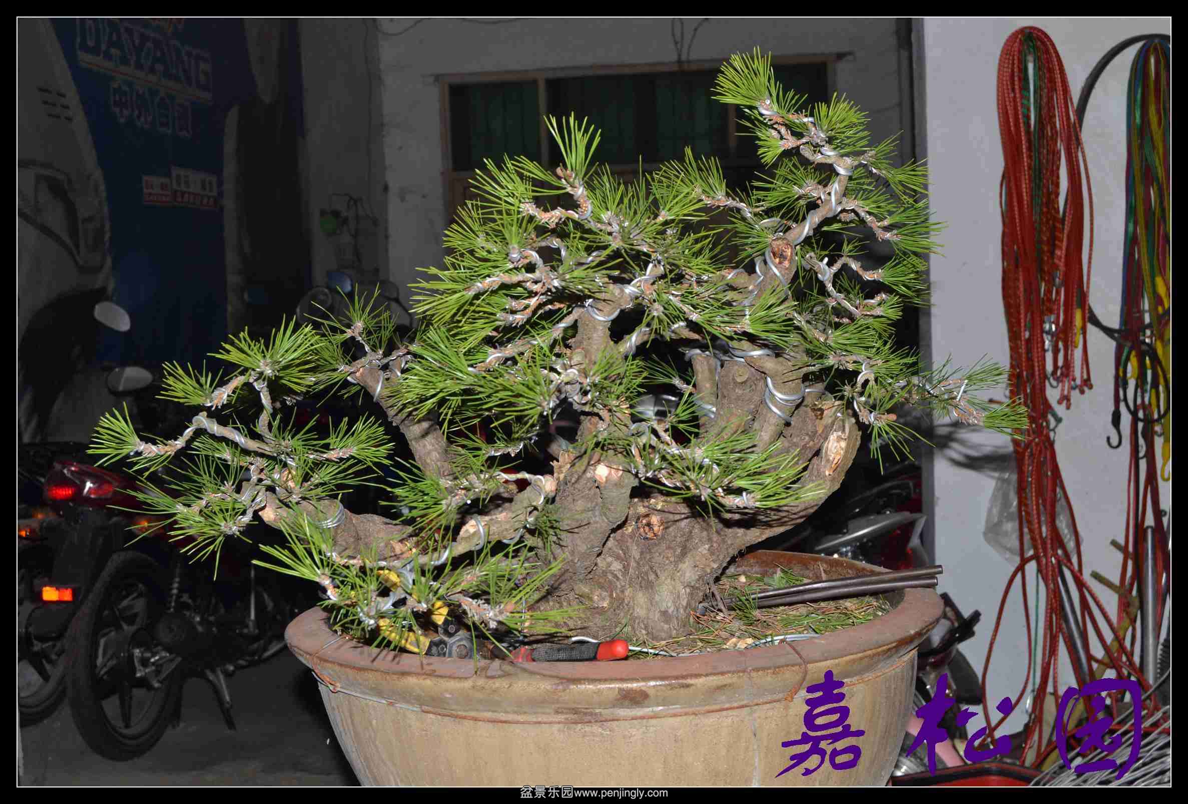 ���Զ�� 003.JPG