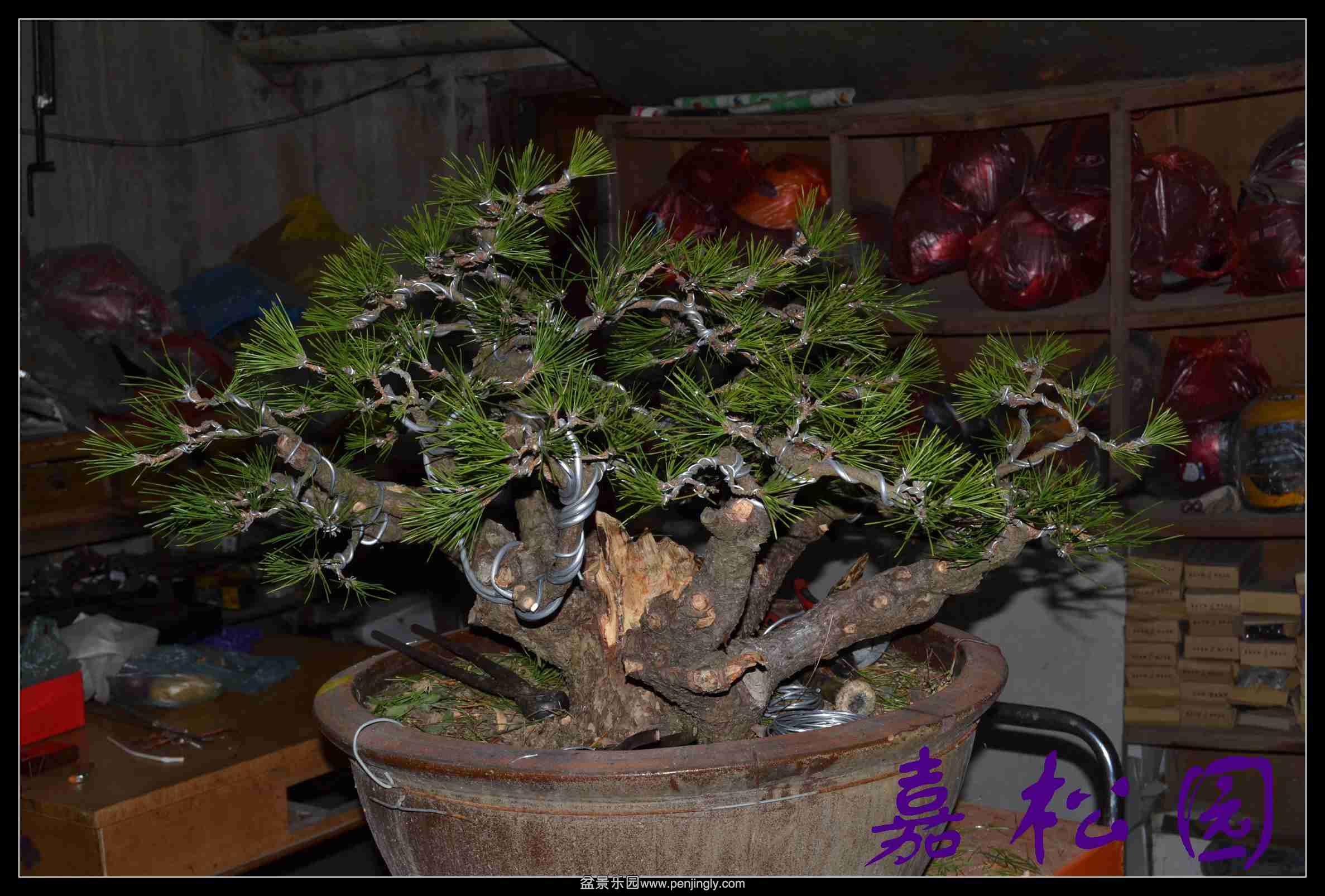 ���Զ�� 005.JPG