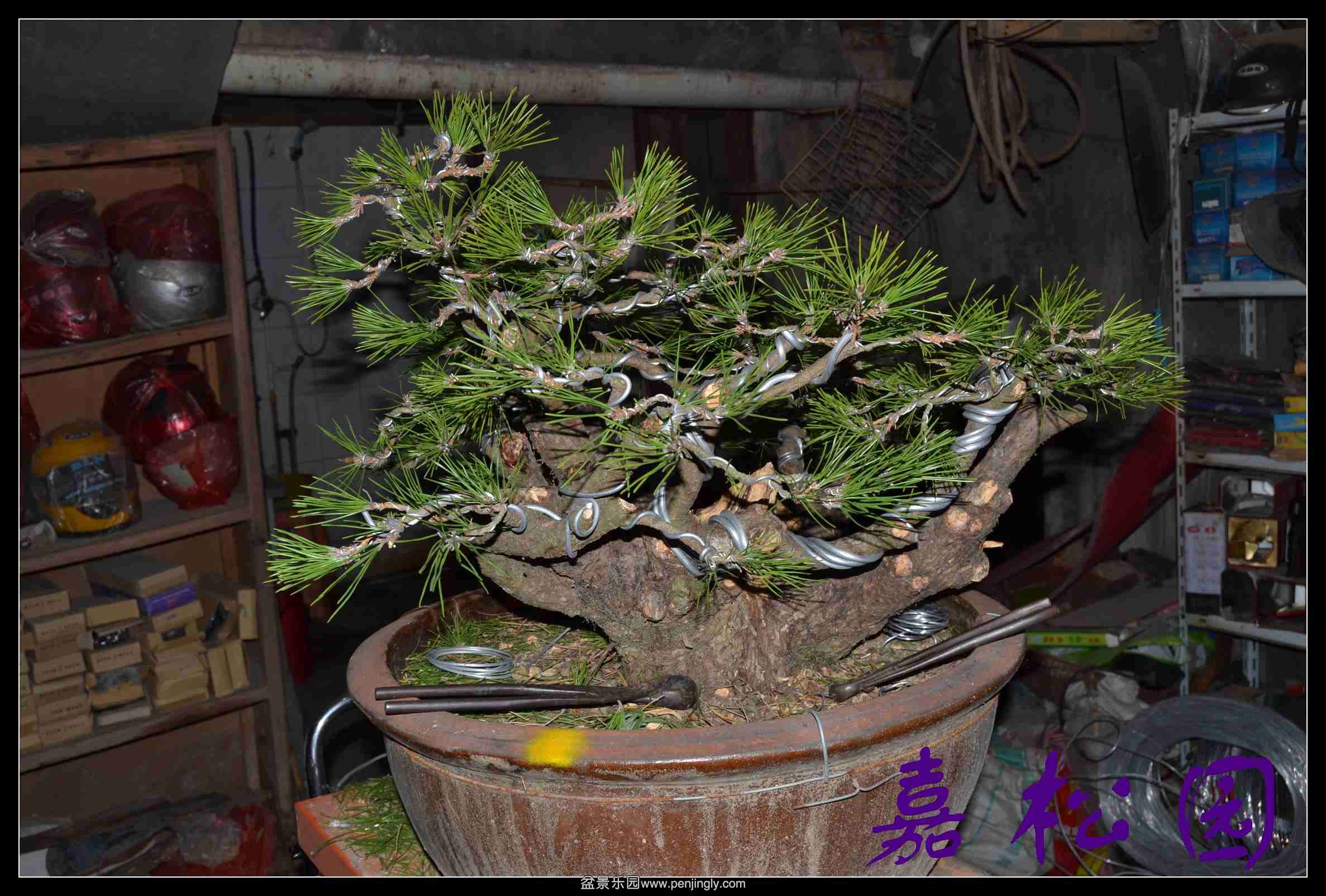 ���Զ�� 007.JPG