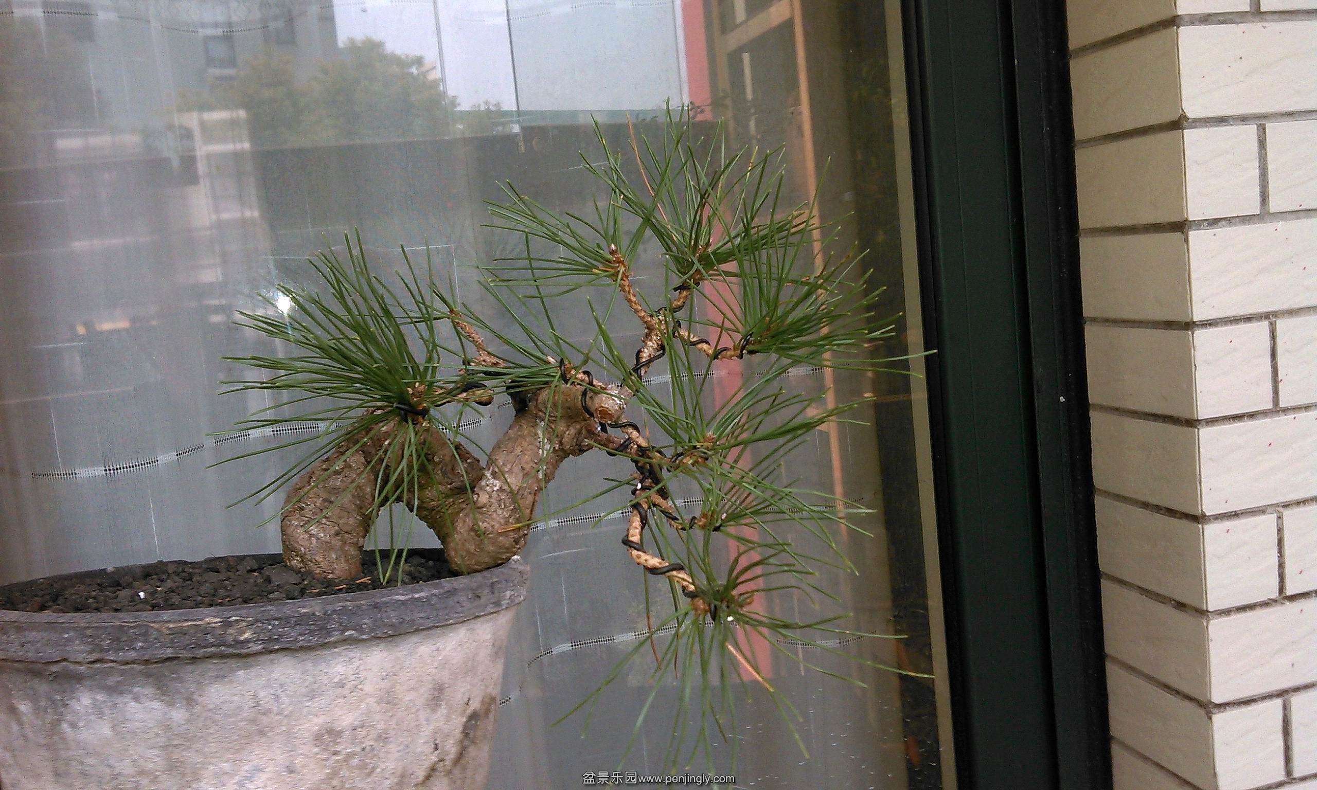 WP_20141118_002_conew1.jpg