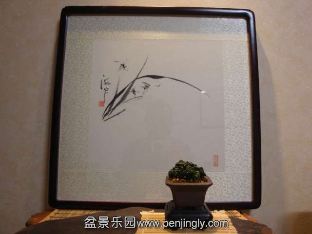DSC09528.JPG