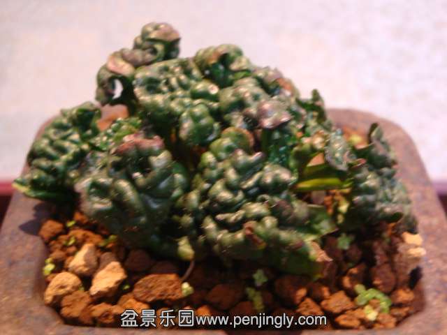 DSC09529.JPG